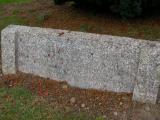 image of grave number 175355